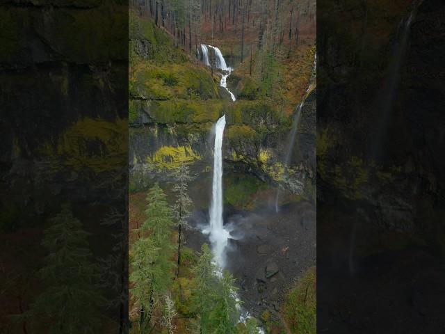 NEW Location Guide Video available on this incredible location in the link above ️ #nature