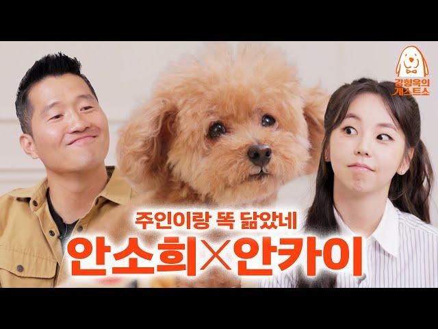 Miss. Ahn Sohee, that's enough bragging [Kang Hyungwook's Dog-uest Show] EP.2