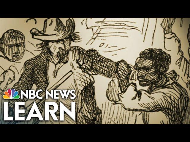 The Fugitive Slave Law
