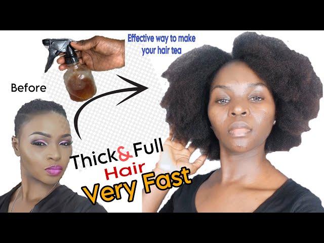 This Hair Tea grows my Hair Thick and Full very Fast: Effective Way to grow Natural Hair 