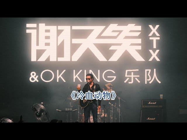 《冷血动物》谢天笑&OK KING「2023 本能 LIVE巡演」上海 2023.08.20