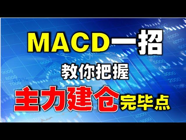 【MACD指标】MACD一招教你把握主力建仓完毕点| 新手也能学会（周末特辑）