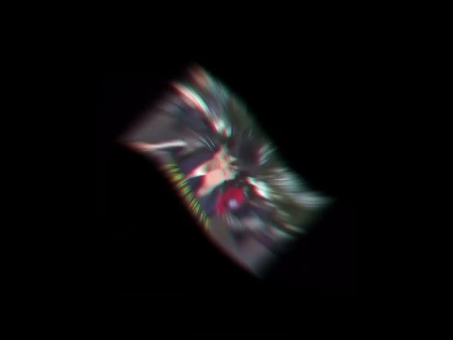 面白い動画