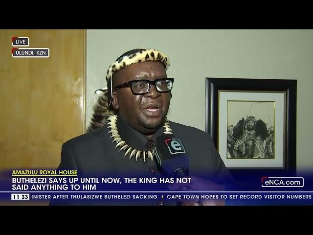 The King has been pressured to part ways with me - Buthelezi