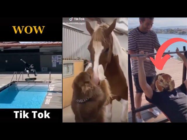 4 Seasons Tiktok  (6) funny compilation top 10 challenge best moments and spectacular Tik Tok