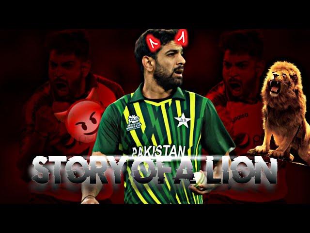 Story Of A Lion ️| Haris Rauf Story