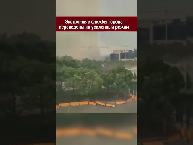 Ужасный Тайфун в Китае  #тайфун #климат #экология #катвклизмы