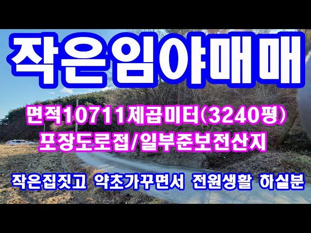 임야매매 10711제곱미터(3240평) 작은자연인 임야매매(경북포항부동산tv)