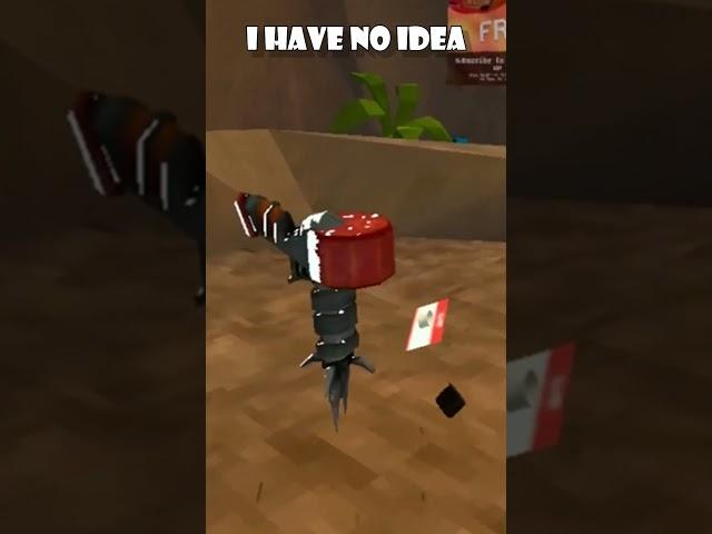 INVISIBLE Player In Animal Company!
