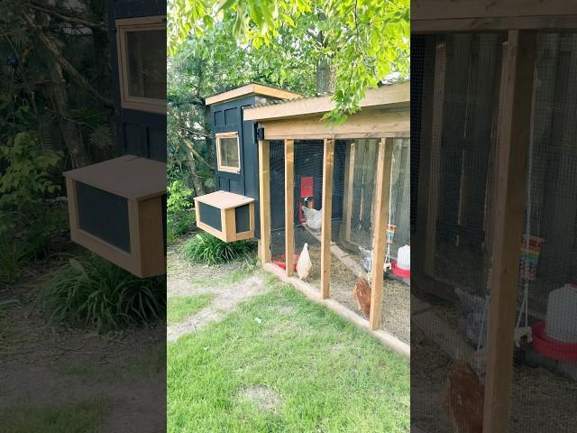 Here is your sign to build a chicken coop #chickencoop #coop#backyardchickens #diy #homediy #build