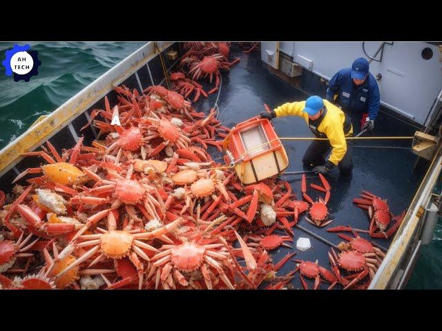 How US Fishermen Catch & Process Tons of Alaskan Red King Crab in Factory | Agriculture Technology