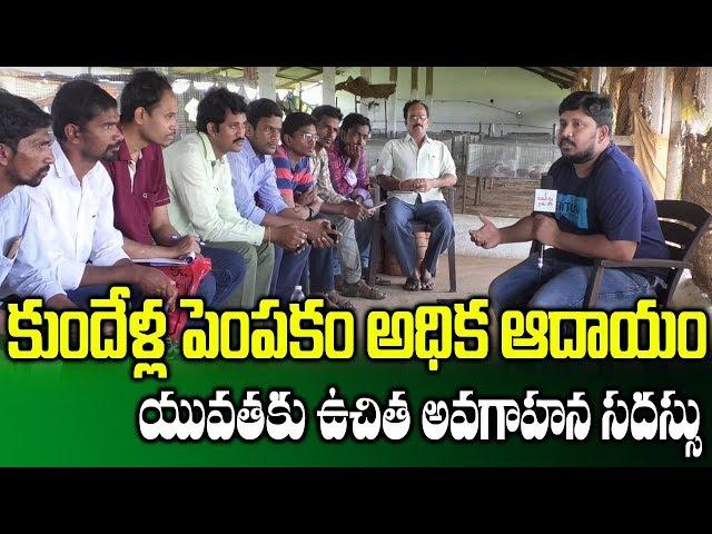 Free Training For Students At Rabbit Farm ||Tips For Rabbit Farming || SumanTV Rythu