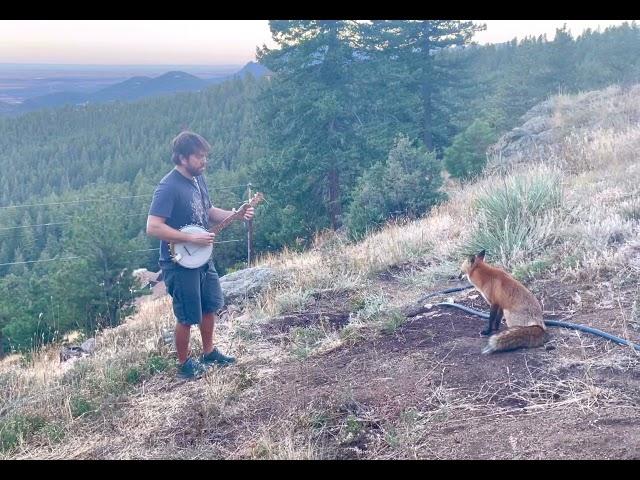 Playing banjo for a wild fox! He came back for an encore! Titled "Aesop Mountain" and streaming now!