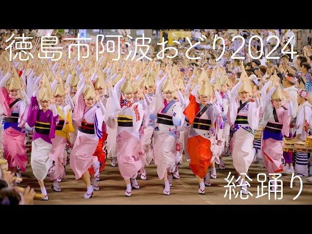 Experience the Breathtaking Awaodori Finale: The Unmissable "So Odori" in Tokushima, Japan