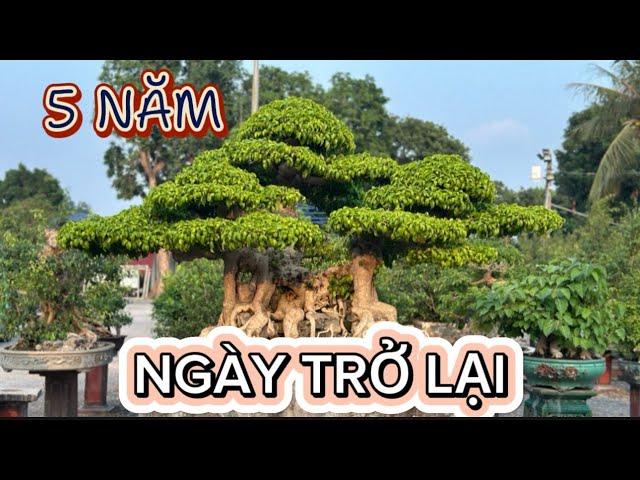 Quảng Tùng| Chia sẻ Quý vị một số tác phẩm tại nhà vườn Nam Lê sẽ tham dự triển lãm CLB HOÀNG LONG