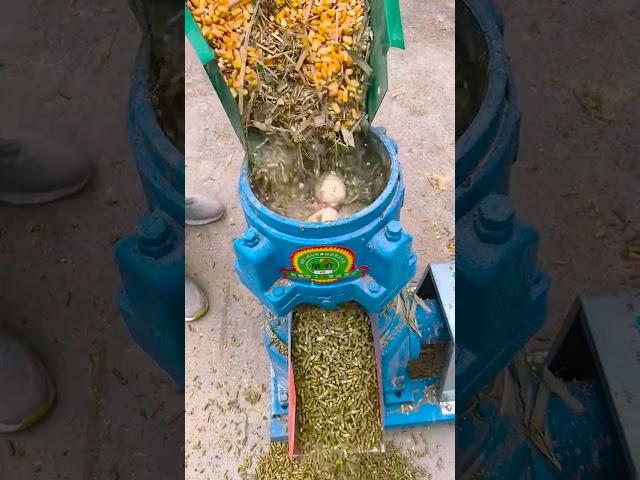 WA:+86 199 39 72 47 55 Pellet machine production line #pelletmachine #pelletmachinefactory