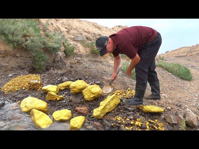 I'm digging up gold nuggets! Untouched place