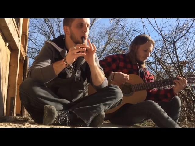 Woodnitza - Aidu (Eluveitie Cover Tin Whistle & Acoustic Guitar)