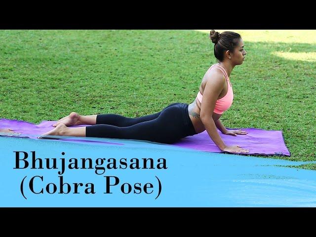 Yoga Asana - Bhujangasana (Cobra Pose) - Relieves Stress & Fatigue