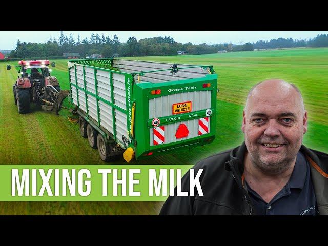 One Man, One Tractor - Feeding 1,200 COWS EVERYDAY!