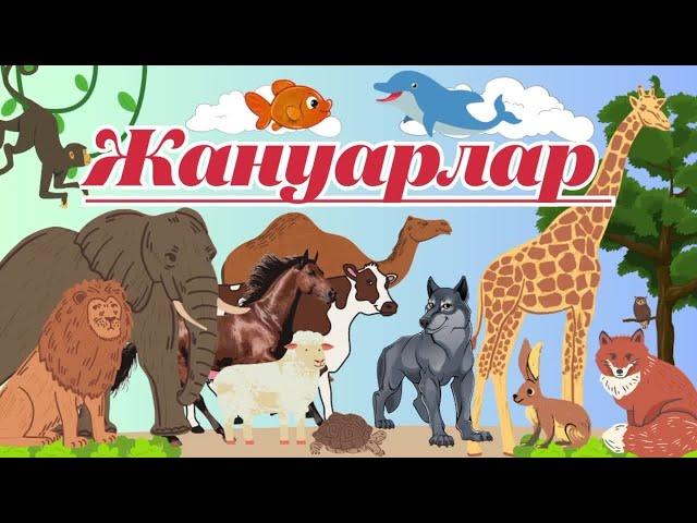 Жануарлар| Животные| Learn Animals #animals #животные #жануарлар