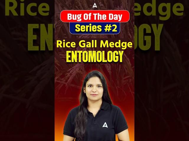 Bug of the series #2 by Meenakshi maam #agricultureadda247 #ibpsafo #ibpsafo2025 #entomology