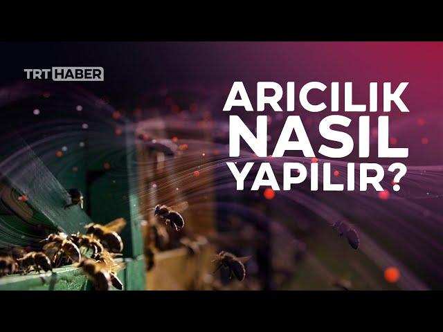 Arıcılık nasıl yapılır?