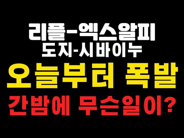 [엑스알피-리플코인-도지코인-시바이누코인] 아침속보 ! 오늘부터 폭발 ! 간밤에 무슨일이 ?  (코인왕국TV,불독코인,급등코인)