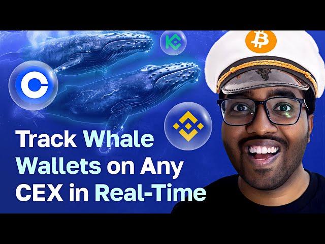 How to Track Whale Wallets on Any CEX in Real-Time (Binance, Coinbase & More)