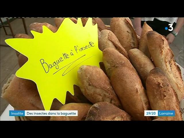 Nancy : l'essor de la baguette aux insectes