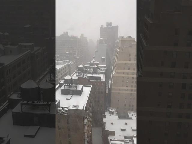 官心你的食衣住行育樂  2024年8月7日  聖誕節 下雪了 應景 snow 美國 紐約 New York Kimpton Hotel Eventi Merry Chrismas 銀色世界 超美