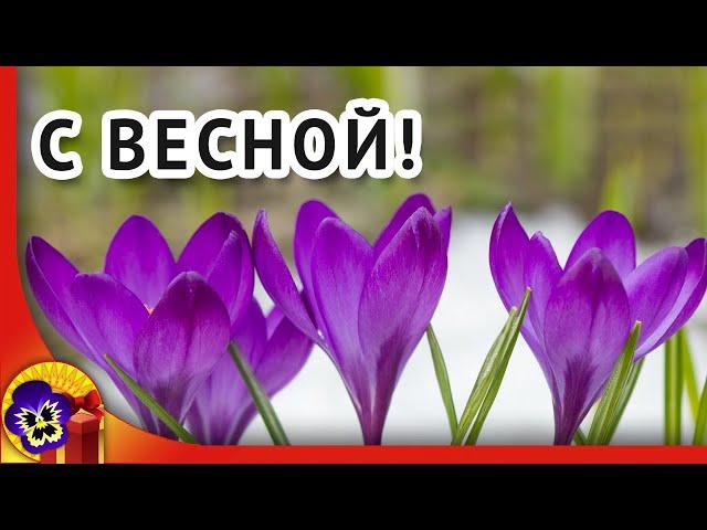 С первым днем весны! Меняю зиму на весну! Оригинальное видео поздравление с весной