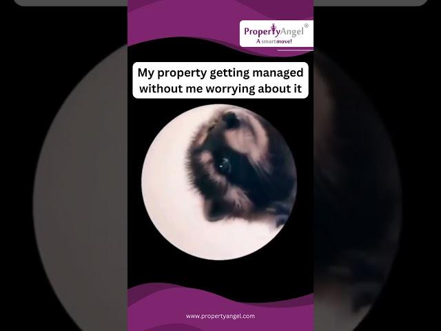 PropertyAngel the property management you can trust | Sign Up Today
