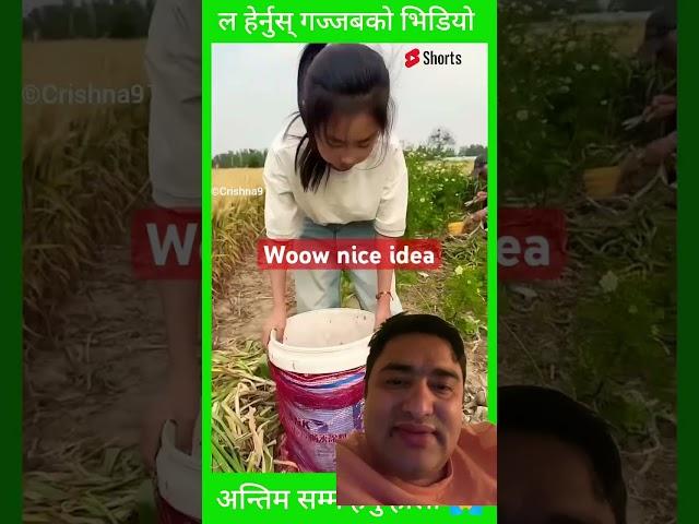 #ideas #farming #collect garlic#agriculture #facts #shorts #india