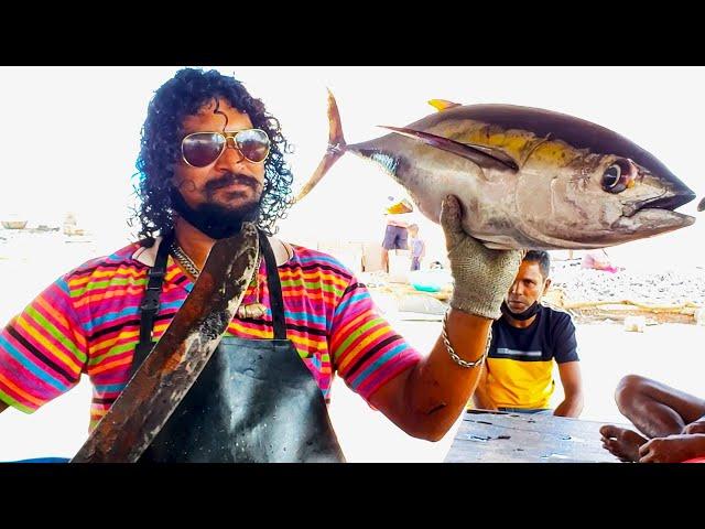 Tuna Fish Cutting | Fish Cutting Skills Sri Lanka