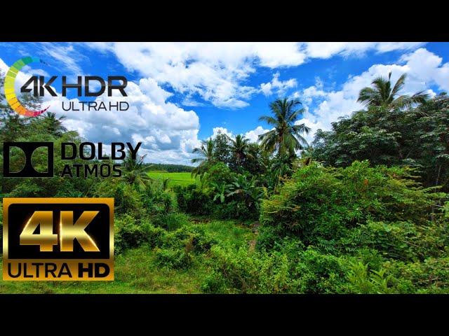 Ultra HD 4K 2160p | UHD 4k 2160p60 | 4K video 2160fps | Uhd video  4K Ultra HD video