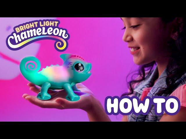 Little Live Pets | Bright Light Chameleon | How To Care and Play