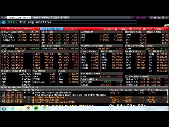 Introduction to Bloomberg Terminals