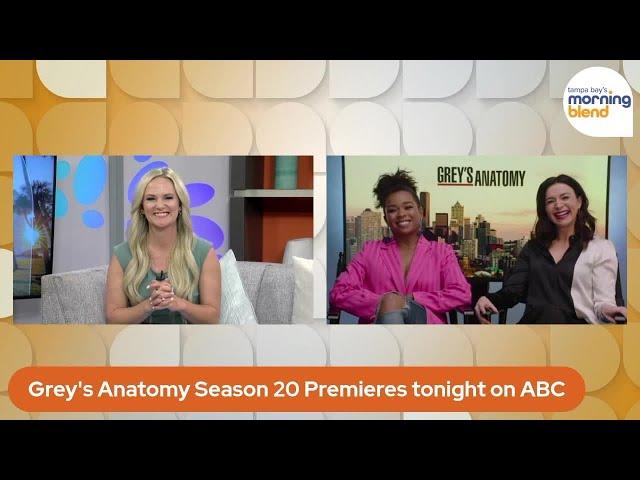 We’re Talking With Two Stars From Grey’s Anatomy Ahead of Tonight’s Season 20 Premiere