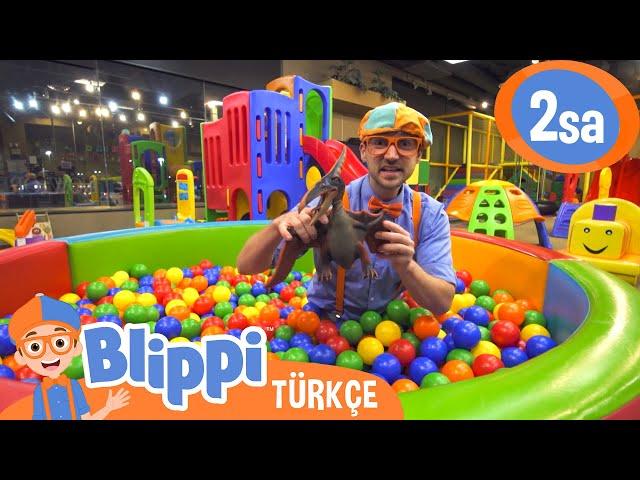 Blippi Kapalı Oyun Parkında | Blippi Türkçe - Çocuklar için Eğitici Videolar