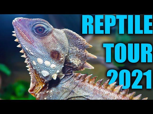 REPTILE HOUSE TOUR 2021