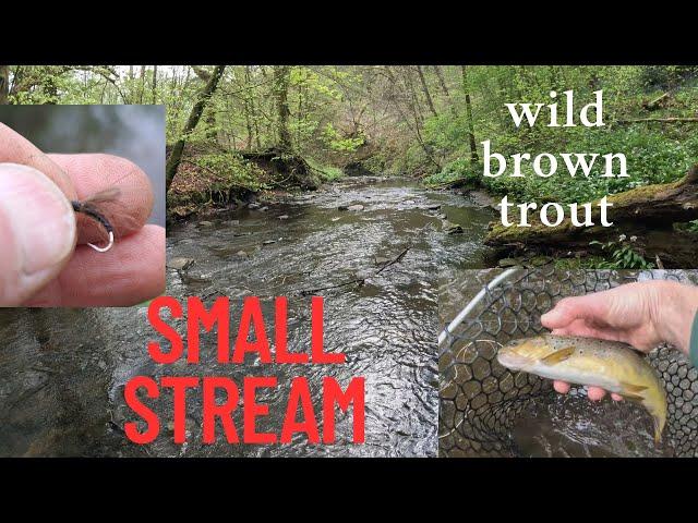 Lets try Dry Fly? 5 tips that will help you get the best out of the sport. #ukflyfishing
