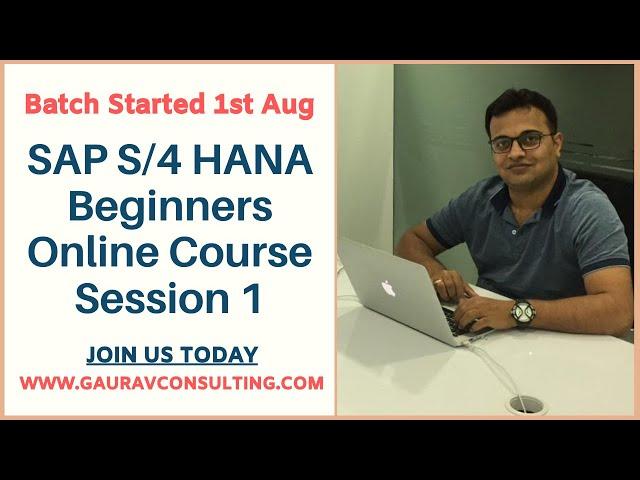 SAP S/4 HANA Beginners Online Course started 1 Aug (Session 1 Recording)