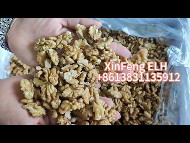 Chinese Walnut kernel factory