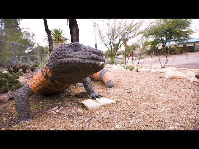 Stormwater Currency, Tucson Water