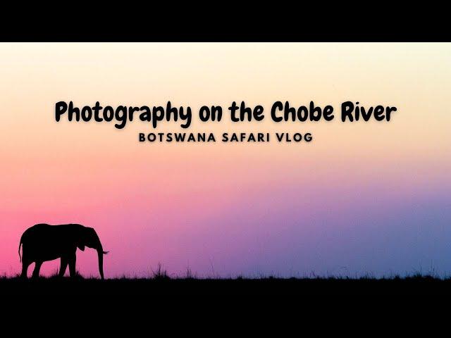 The best photographic destination in Africa? Botswana Vlog