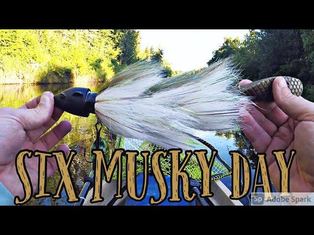 6 MUSKY DAY!! Small River - Kayak Musky Fishing!