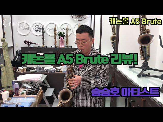 캐논볼 인기 모델  A5 Brute 리뷰