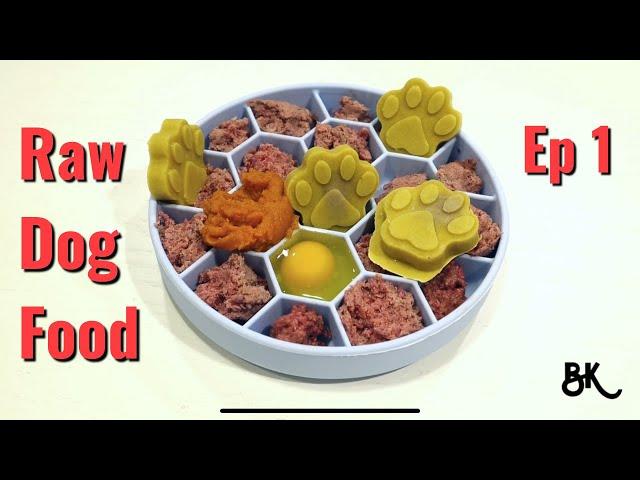 Feeding Raw Dog Food Ep 1 | Welcome to The Series! | The BK Shop