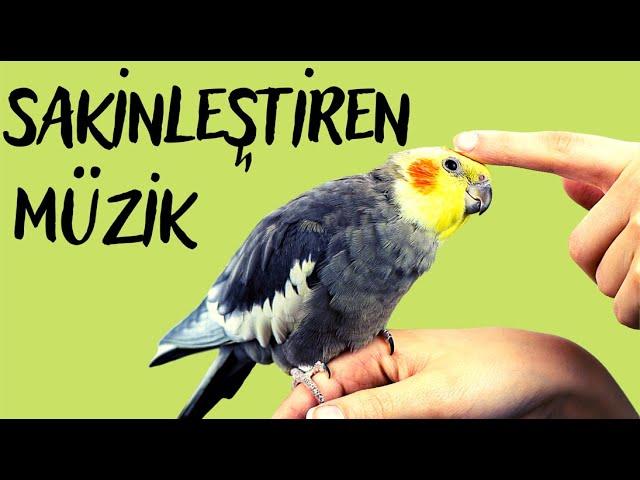 KUŞLARI SAKİNLEŞTİREN MÜZİK